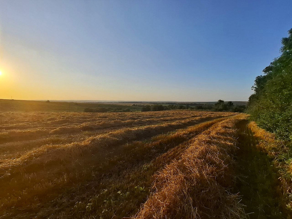 Продаж земельної ділянки 1 га Sadky - photo 1