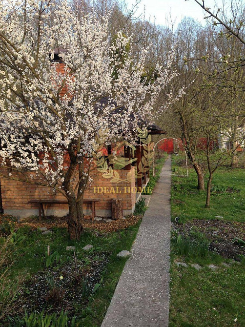 Продаж будинку СТ «ТИША» с. Віта – Поштова / Круглик  - фото 13