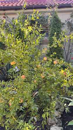 Продам дом в Приморском районе Адмиральский проспект Одеса