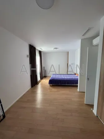 For rent 3-storey Duplex with land 6 ares 150 sq.m 4 rooms at Швеця Hatne - photo 13