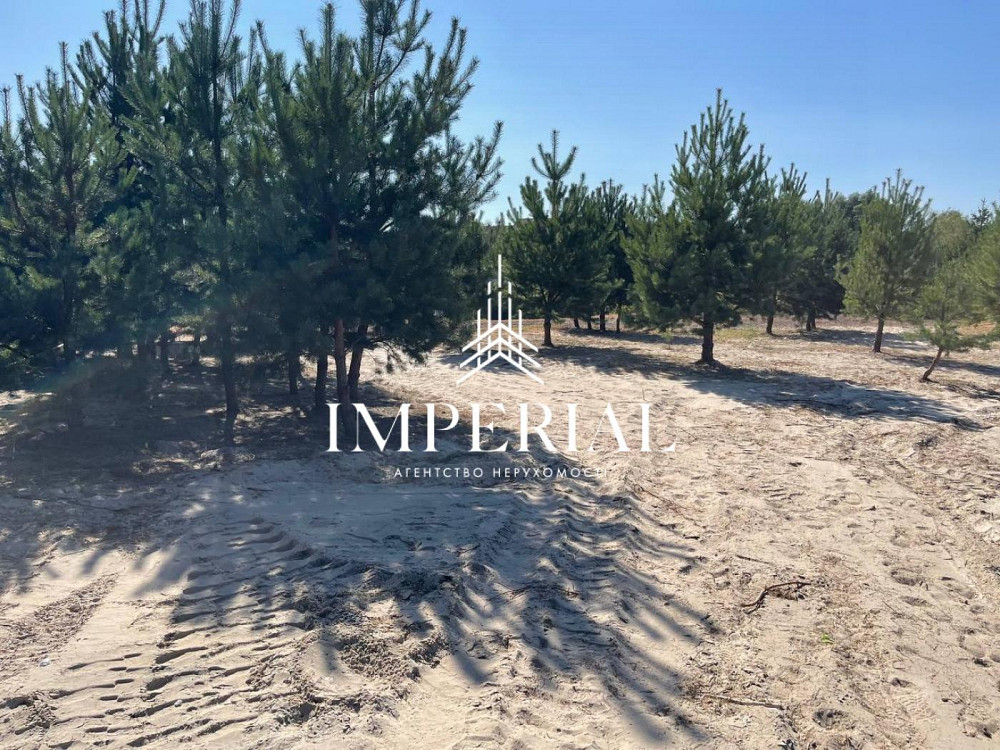 Продаж земельної ділянки 22 соток Нови Безрадичи - изображение 6