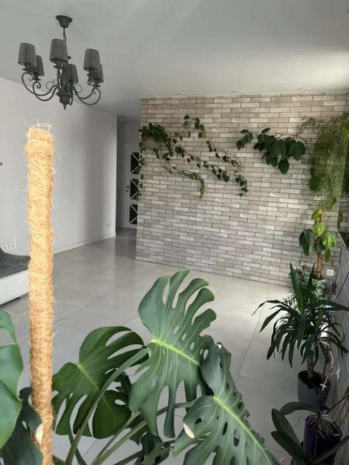 Оренда Квартира 2-кімнатна, 24/24 поверх на пр. Валерия Лобановского Київ - фото 3