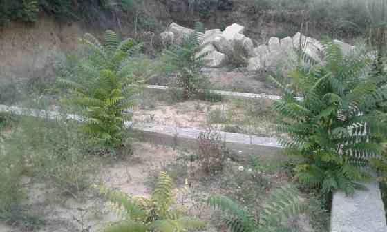 Продам дом в с. Дачное . Дачне