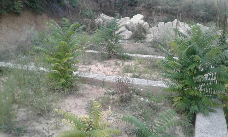 Продам дом в с. Дачное . Дачне - фото 6