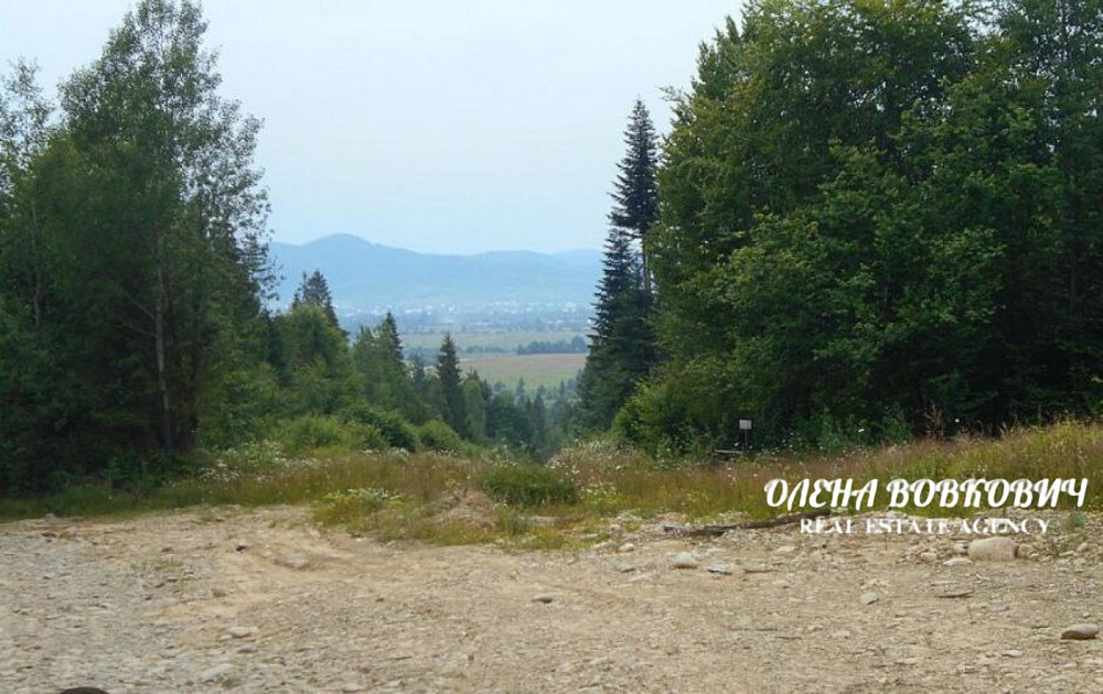Продаж земельної ділянки 46 соток Міжгір'я - фото 3