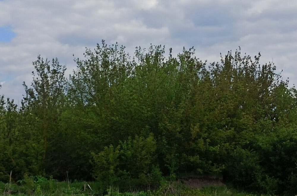 Продаж земельної ділянки 6 соток Ternopil' - photo 2