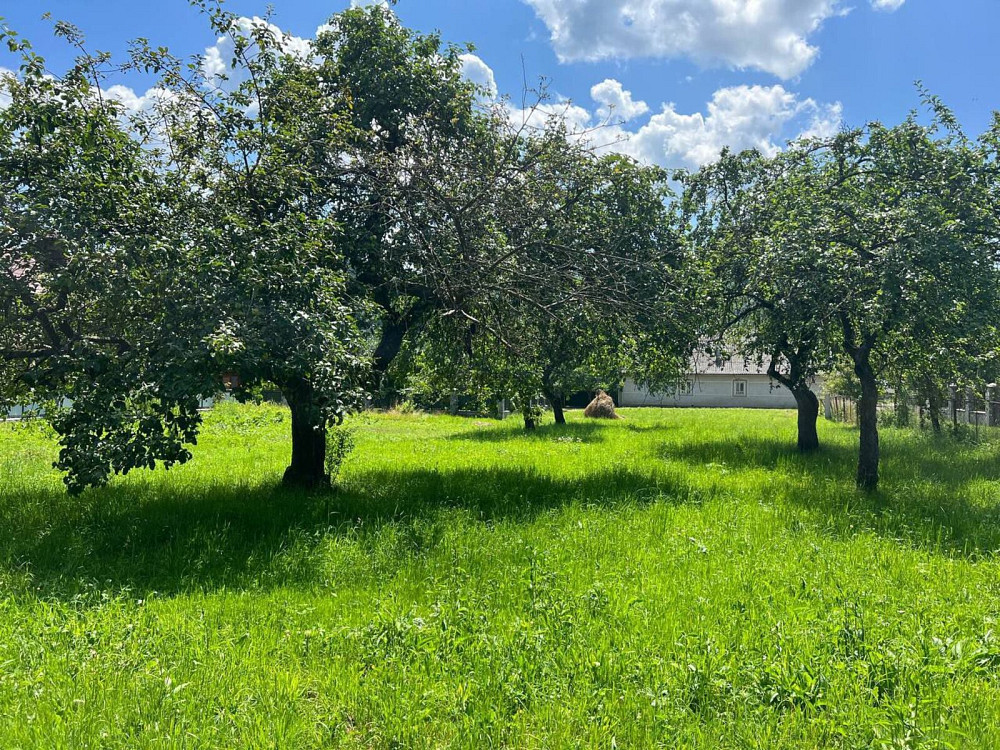 Продаж земельної ділянки 30 соток  - photo 4