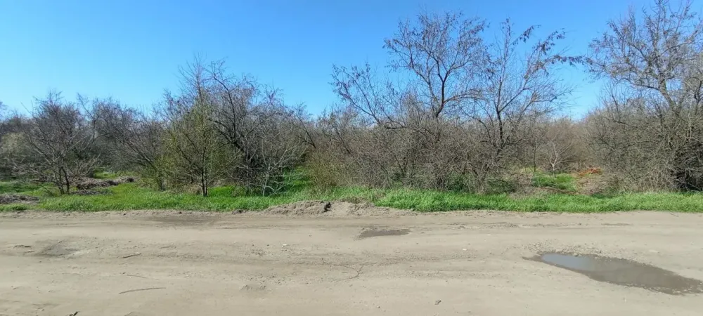 Продаж земельної ділянки Для сільськогосподарської діяльності площа 400 сот JV62+W4, Лиманський район, Одеська область, 67512 Одеса - фото 2