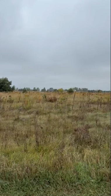 Продаж земельної ділянки 15 соток Козлин - изображение 4