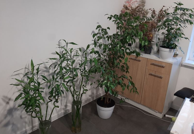 Предлагаем к продаже дом в 15 минутах от Одессы, рядом Усатово, Слободка. Nerubaiske - photo 5