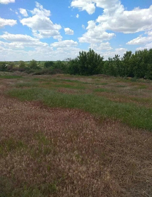 Продаж земельної ділянки 30 соток на АН Купи Дім Кропивницький - фото 2