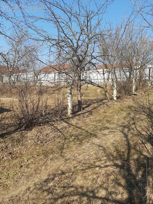 Продаж Будинок 3-кімнатний на Богдана Хмельницького пров. Вишнівець - фото 6