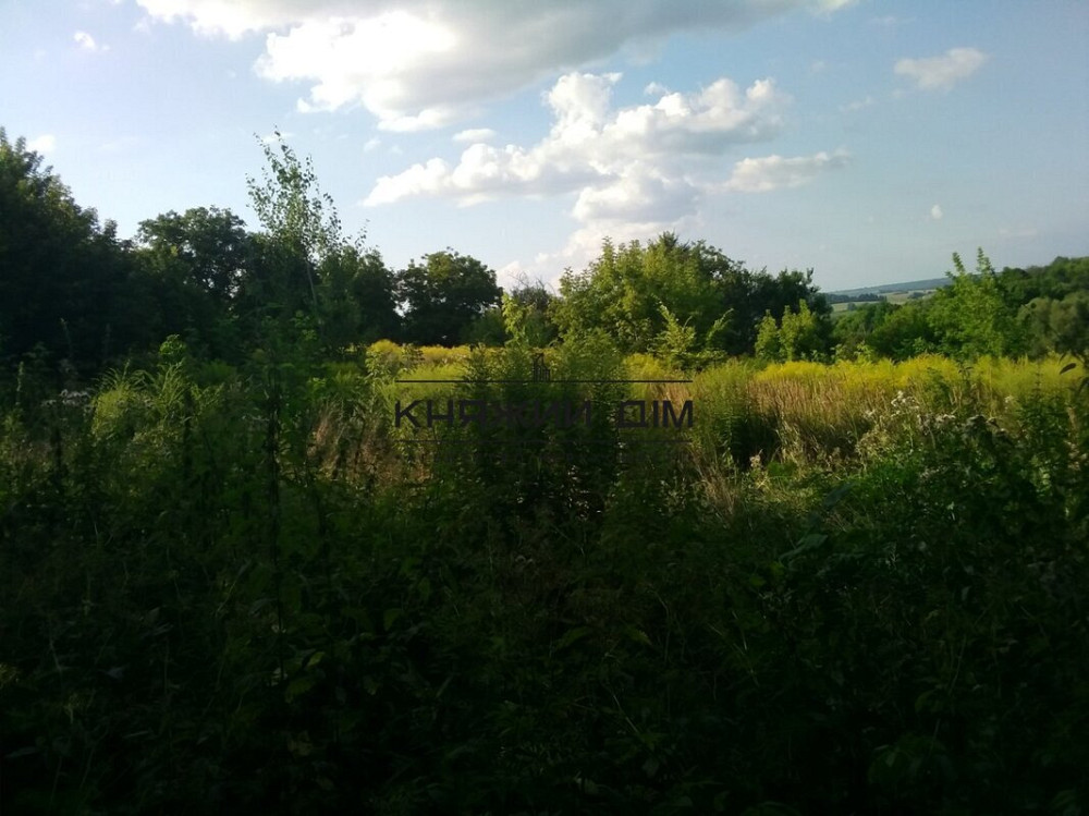 Продаж земельної ділянки 25 соток Mala Vilshanka (Bilotserkivskyi raion) - photo 4