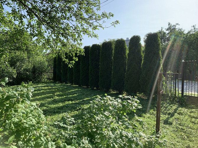 Продаж будинку житлова площа 32 м.кв. Великі Глібовичі - фото 10