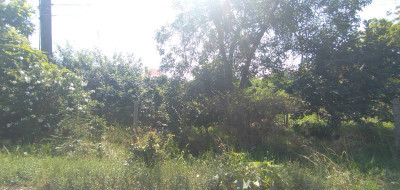 Продаж земельної ділянки 0.1 соток на ул. Рыбачья, 43 Одеса - фото 5