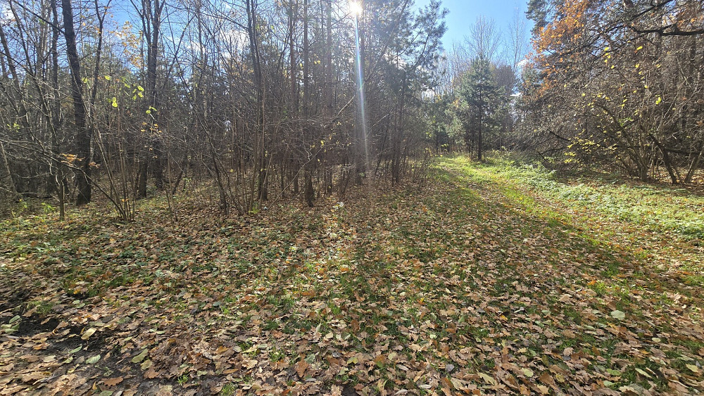 Продаж земельної ділянки 12 соток на Лісова Быстри - фото 4