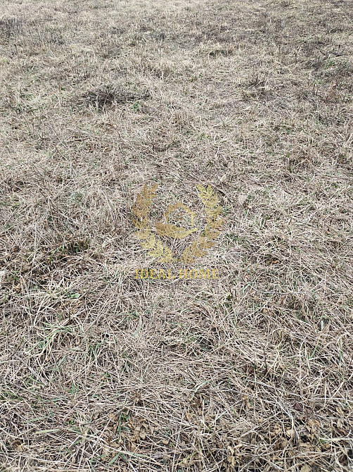 Продаж земельної ділянки 10 соток  - photo 17