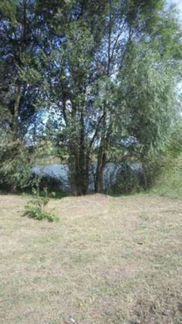 Продаж земельної ділянки 24 соток Артемівка - фото 3