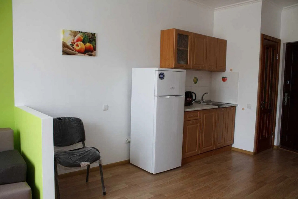 Оренда Квартира 1-кімнатна, 7/26 поверх на Герцена, 35 Киев - изображение 5