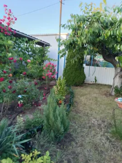 Продаж Будинок 3-кімнатний на ул. Садовая, 26 Нова Дофінівка - фото 20