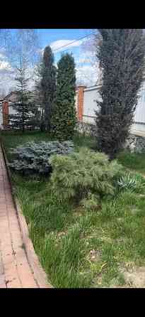 Продаж Будинок на Вулиця Театральна, (Леніна), 2 Kirovohrad