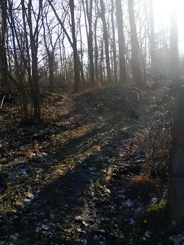 For sale land plot  area 6 ares Зелена вулиця  - photo 16