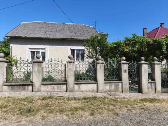 Продаж 2-поверховий Будинок з ділянкою 7 сот 195 кв.м 5 кімн. на Центральна Ужгород