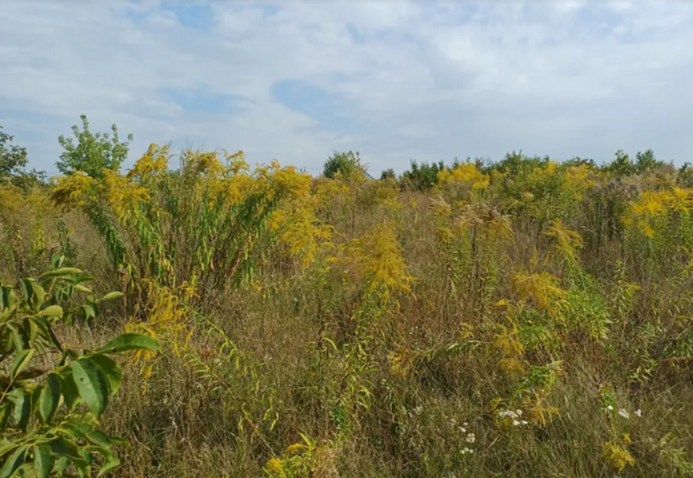 Продаж земельної ділянки 10 соток Байківці - фото 8