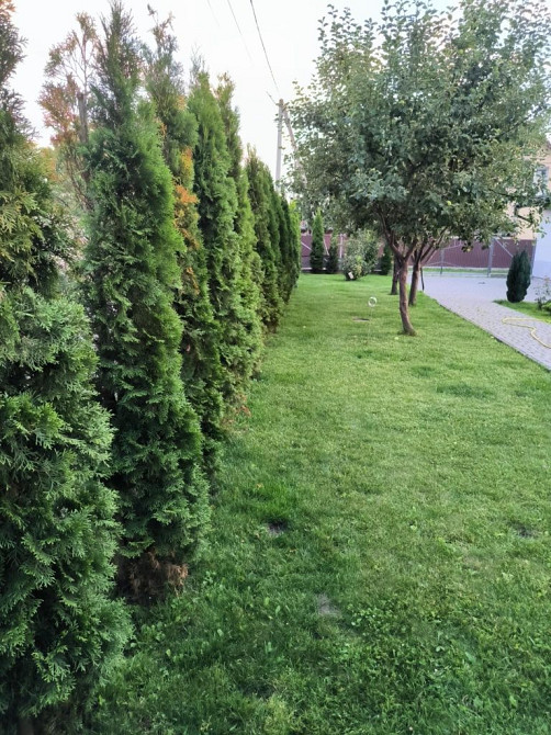 Продаж Квартира на улица Затишна Бартатов - изображение 10