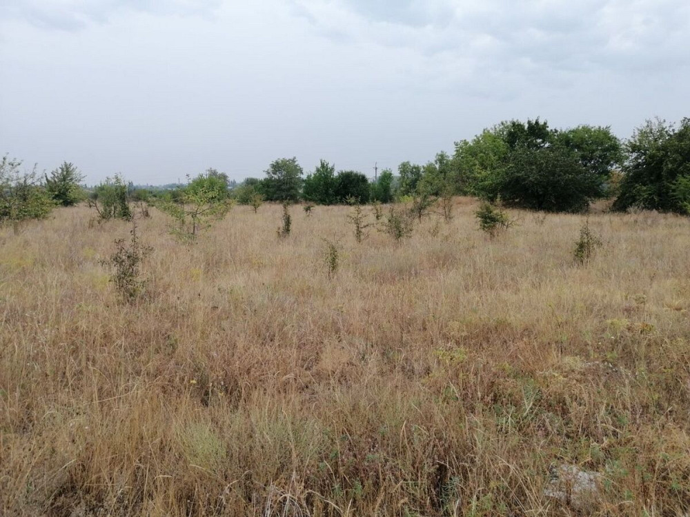 Продаж земельної ділянки 10 соток на АН Купи Дім Кропивницький - фото 3