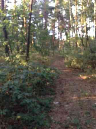 Продаж земельної ділянки 25 соток 