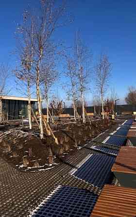 Продаж Квартира 2-кімнатна, 3/20 поверх Vinnytsya