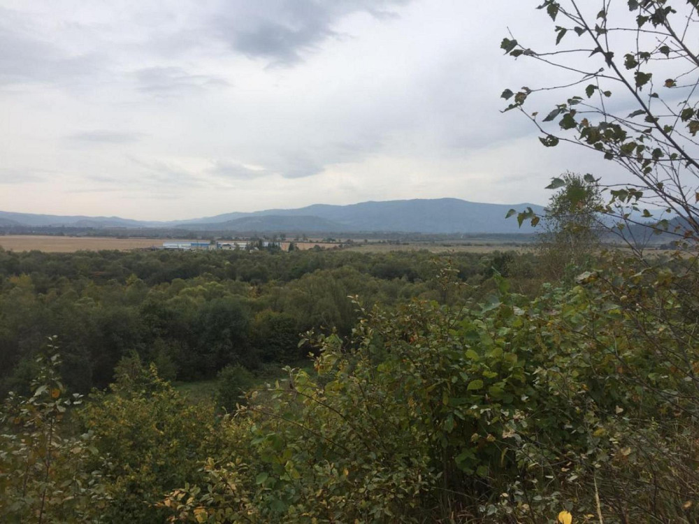 Продаж земельної ділянки 75 соток на вул. Шевченка Верхнє Синьовидне - фото 11