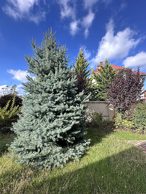 Продаж Будинок на вул. Лазурна Одеса - фото 7