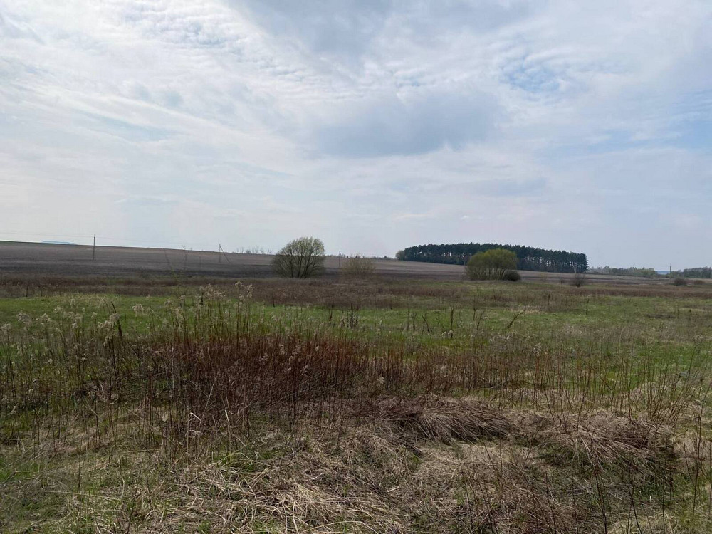 Продаж земельної ділянки 14 соток на мельника вячеслава  - изображение 9