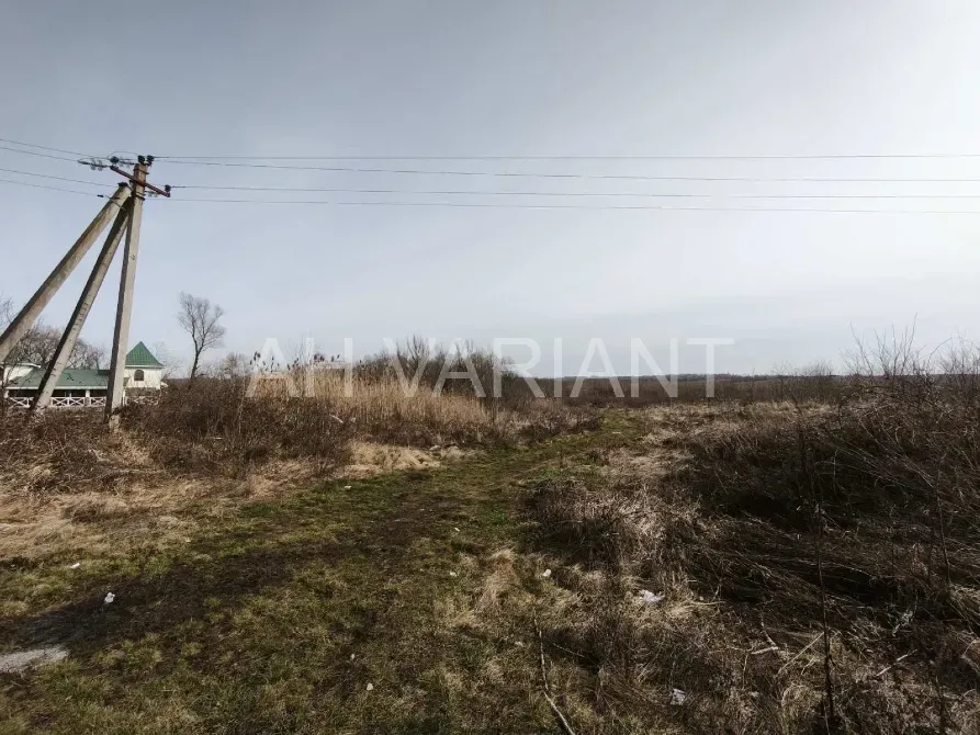 Продаж земельної ділянки Для сільськогосподарської діяльності площа 1191 сот Польова Середнє - фото 13