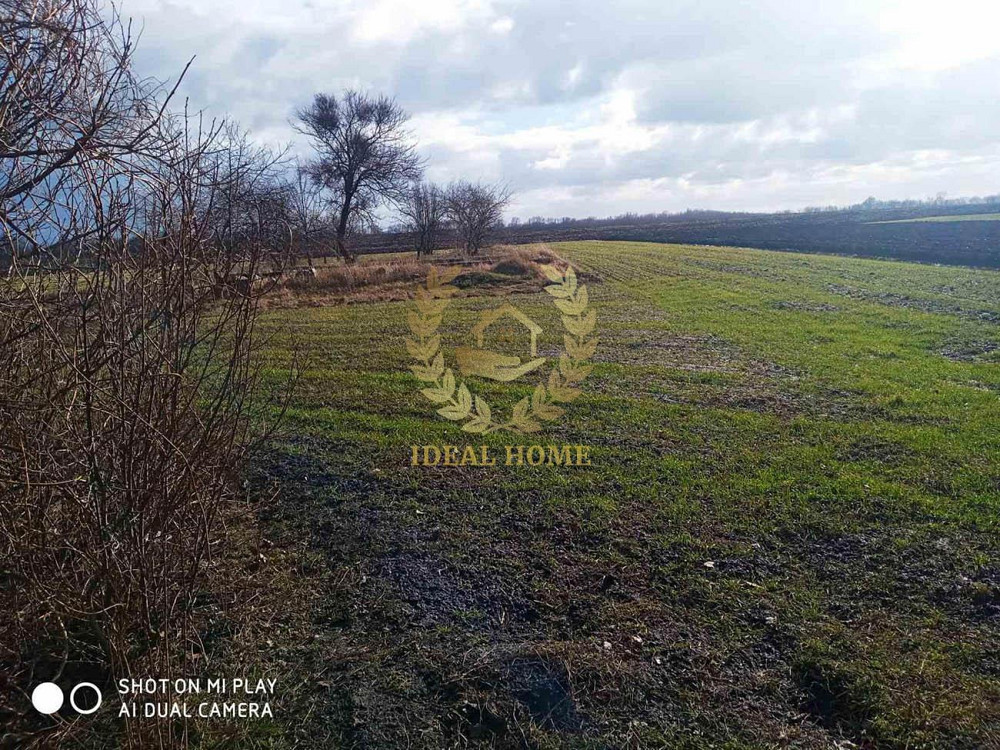 Продаж земельної ділянки 12 соток на Ярослава Мудрого ул., 6 Uzyn - photo 3