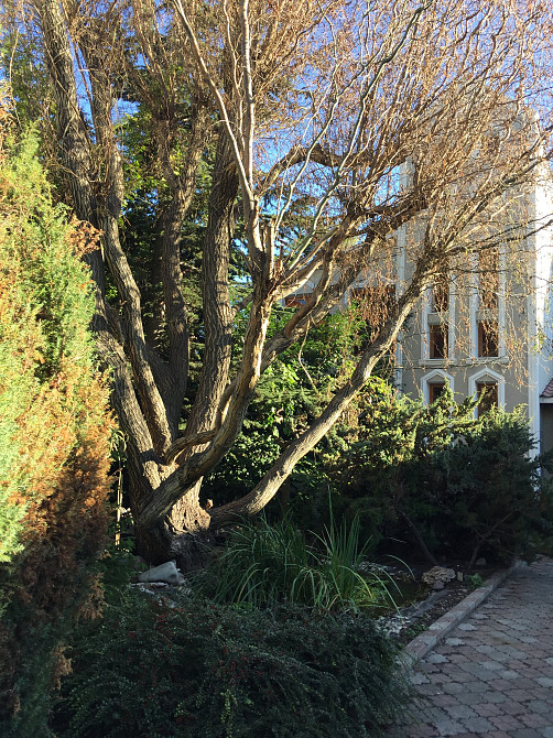 Продаж земельної ділянки 0.1 соток на переулок Зоряний, 6 Нерубайське - фото 20