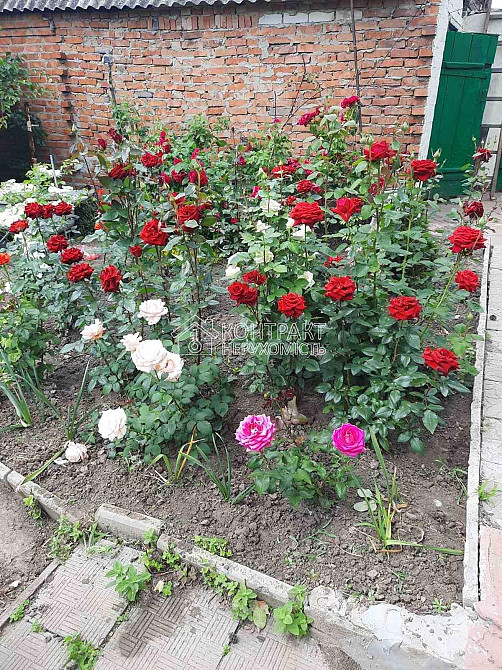 Продаж Будинок 5-кімнатний на вул. Бондарівська Novaya Vodolaga - photo 9