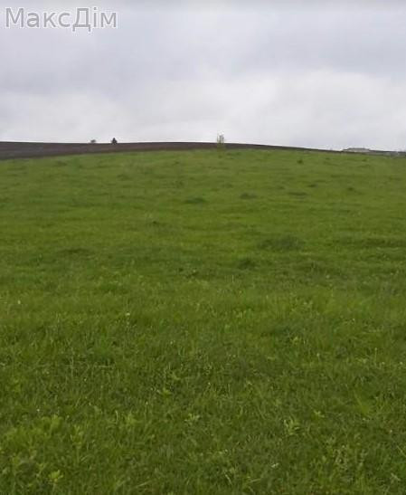 Продаж Будинок Pochapyntsi - photo 5