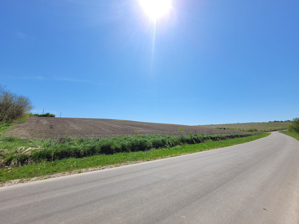 Продаж земельної ділянки 3.76 га Kolodiivka - photo 1