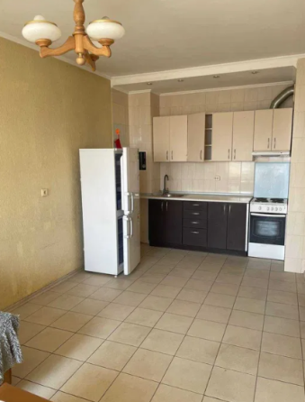 Оренда Квартира 1-кімнатна, 19/20 поверх на Олени Пчілки, 2а Киев