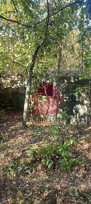 Продаж земельної ділянки 4 соток  - photo 2