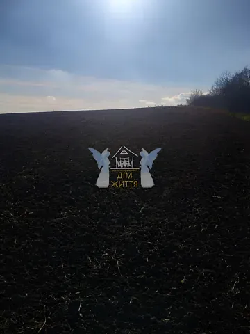 Продажа земельного участка  площадь 17 сот Січових Стрільців вулиця 1  - изображение 1