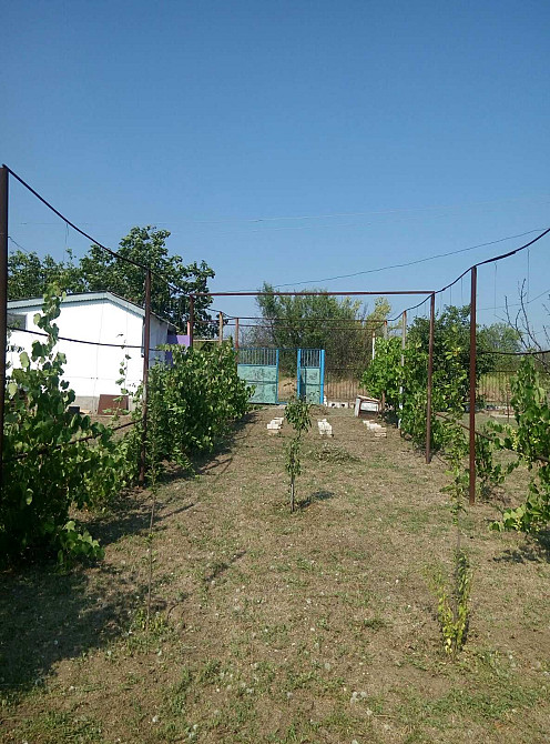 Продам летний домик в СТ "Межлиманье"( Рядом "Лавандия") Протопопівка - фото 2