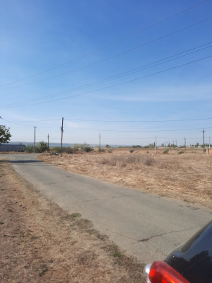 Продаж земельної ділянки 0.1 соток на ул. Рекордная (СТ Межлиманье ), 830 Протопопівка - фото 2