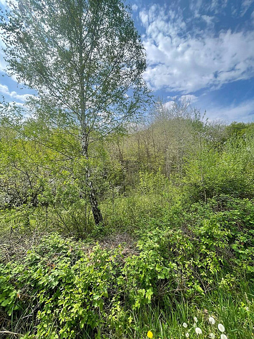 Продаж земельної ділянки 5.5 соток  - photo 3