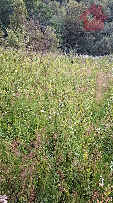 Продаж земельної ділянки 25 соток Uzhhorod - photo 7