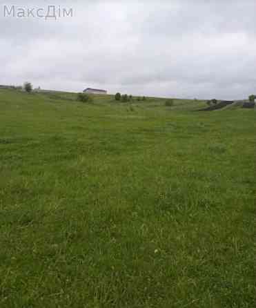 Продаж Будинок Pochapyntsi