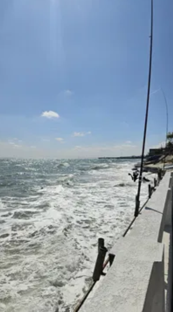 Продаж Будинок 2-кімнатний на ул. Причал 129, 84 Одеса - фото 8